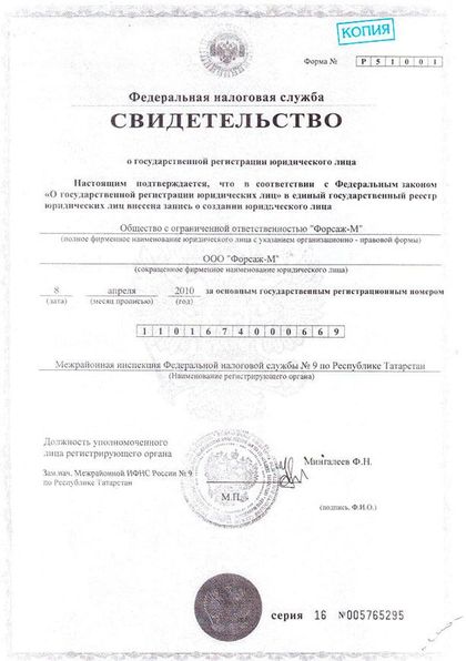 Свидетельство о государственной регистрации юридического лица, ОГРН 1101674000669